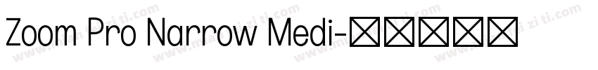 Zoom Pro Narrow Medi字体转换